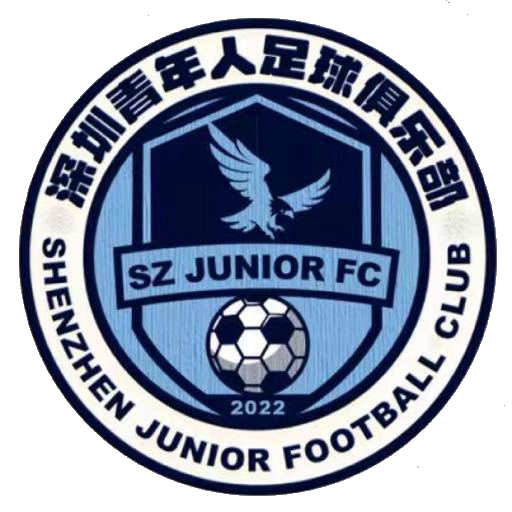  深圳青年人