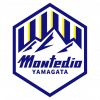 山形山神 