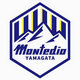山形山神 