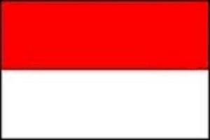 印度尼西亚 